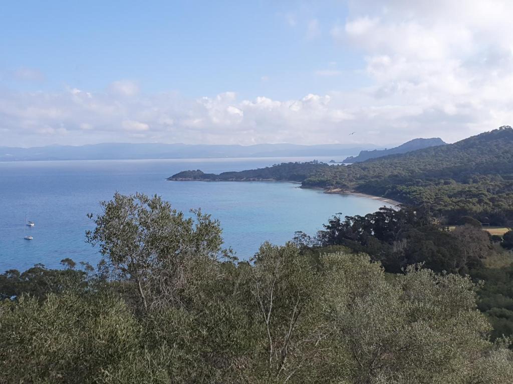- une vue sur une grande étendue d'eau avec des arbres dans l'établissement Porquerolles - Nuit insolite à bord du Défi Fou, à Porquerolles