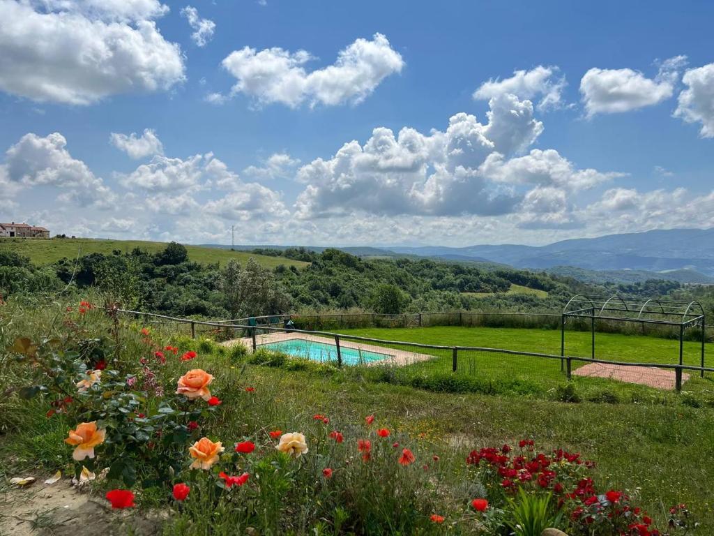 une vue d'une piscine dans un champ avec des fleurs dans l'établissement Banditella, à Orvieto 63 autres photos
