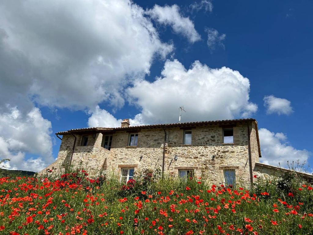 un vieux bâtiment en pierre dans un champ de fleurs dans l'établissement Banditella, à Orvieto