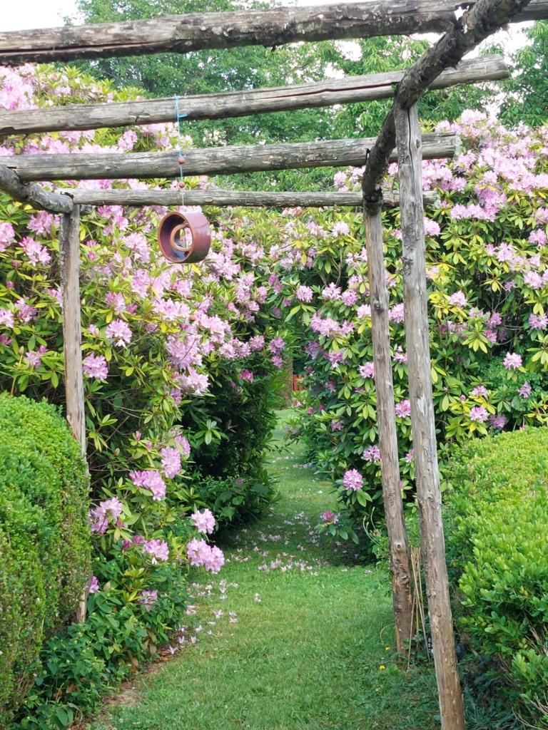 une pergola en bois avec des roses roses dans un jardin dans l'établissement Bulle sous les étoiles, à La Saunière