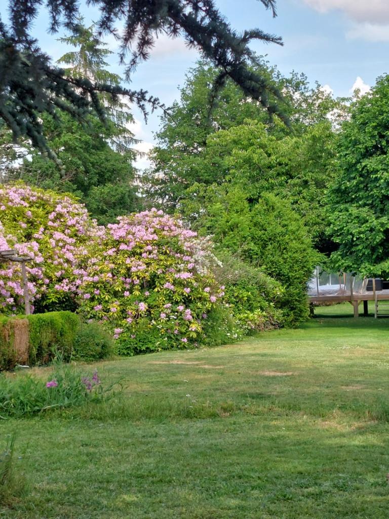 un parc avec des fleurs roses et un banc dans l'établissement Bulle sous les étoiles, à La Saunière