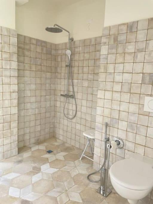 une salle de bain avec douche et toilettes dans l'établissement Villa la Madonna with pool and padelcourt, à Monte del Lago