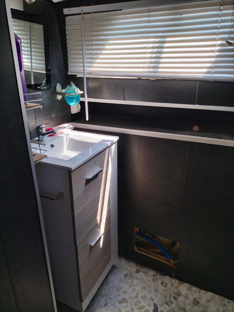 une petite salle de bain avec un lavabo et une fenêtre dans l'établissement Bateau PEARL, à Rouen
