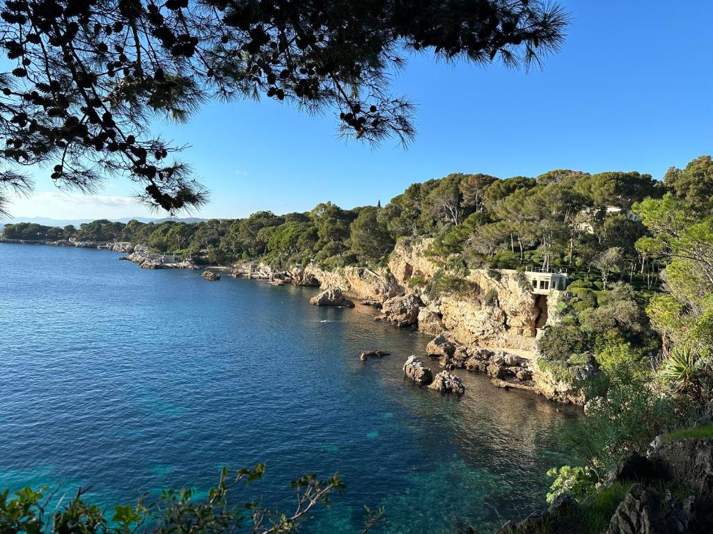 une rivière avec un groupe d'animaux dans l'eau dans l'établissement Tipi sous les étoiles option petit déjeuner et dîner, à Lucéram