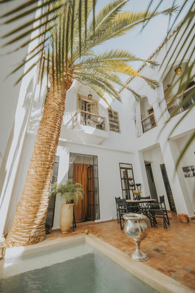 - un palmier dans une chambre avec piscine dans l'établissement Dar Zelda, à Marrakech