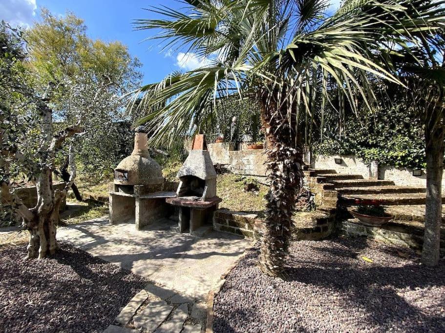 Country house in Maremma Villa Mafalda 7