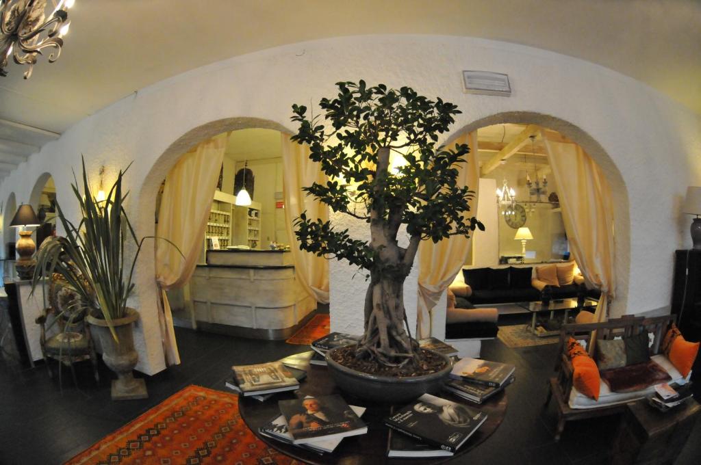 - un salon avec un bonsaï sur une table dans l'établissement Hotel Atlantic, à Marina di Carrara