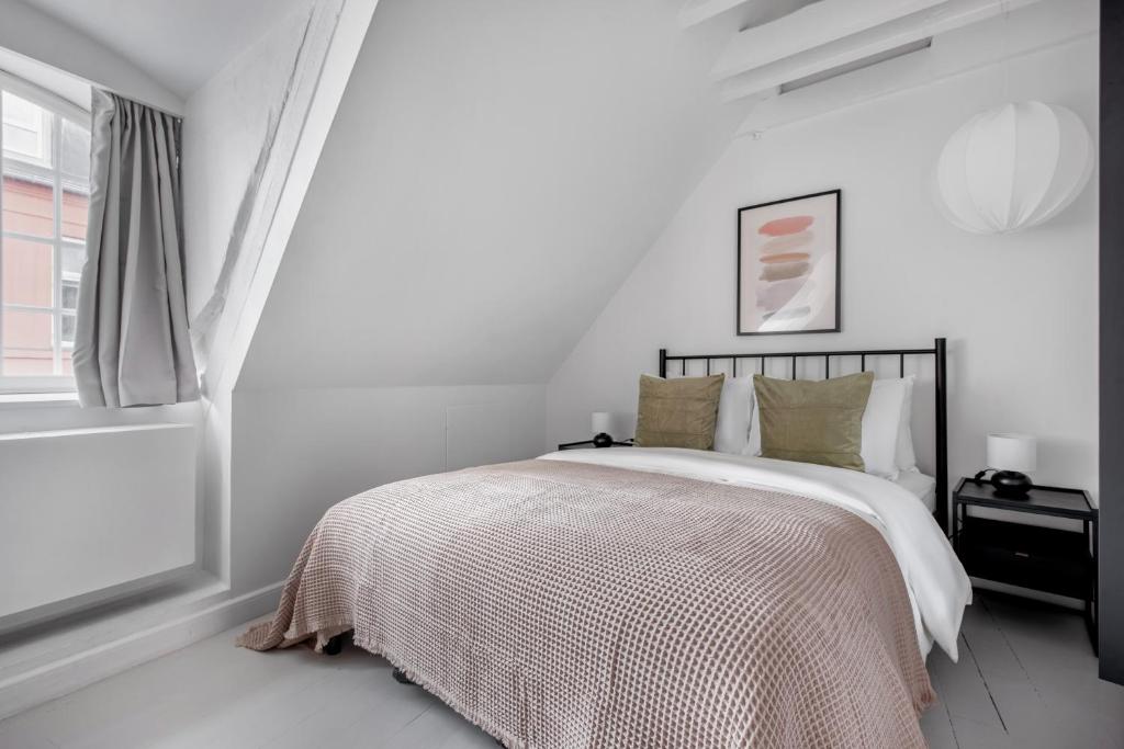 Cozy Apartments in Heart of Copenhagen Near Strøget & Højbro Plads 3