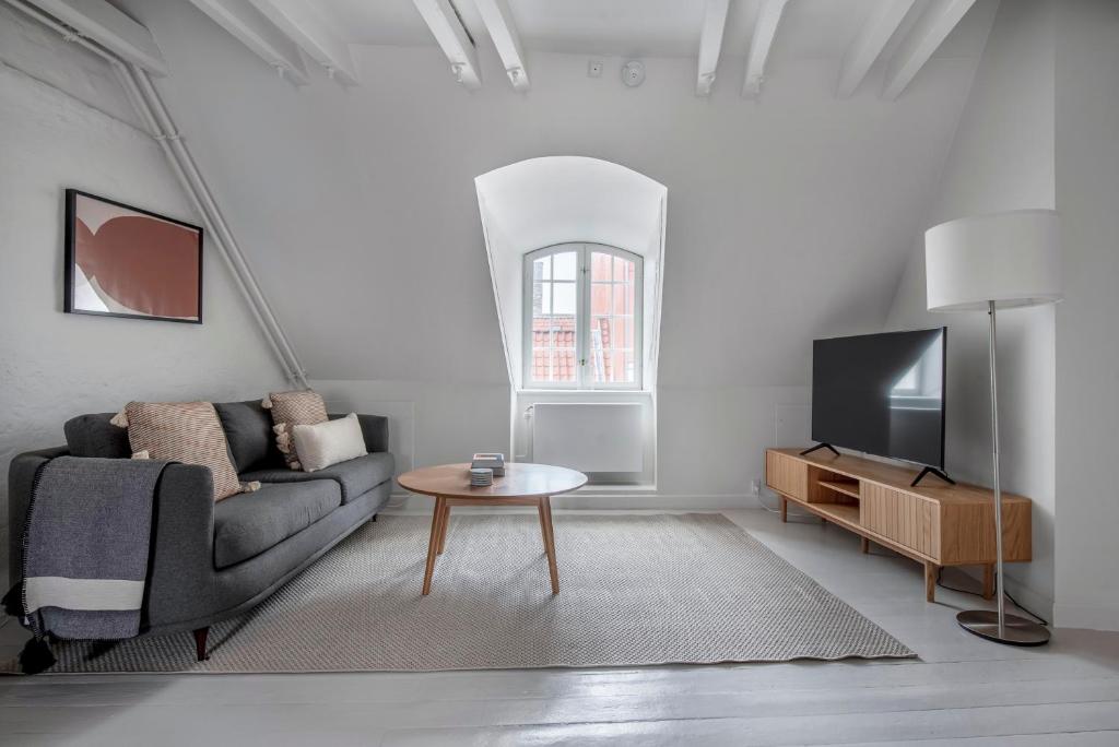 Cozy Apartments in Heart of Copenhagen Near Strøget & Højbro Plads 2