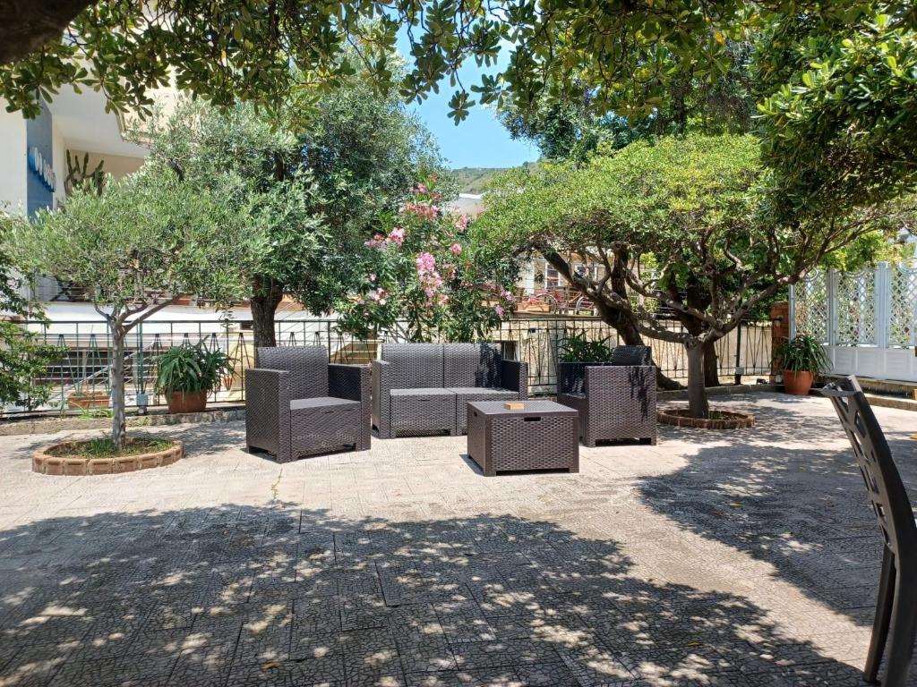 une cour avec des chaises et des arbres dans l'établissement Hotel Acciaroli, à Acciaroli