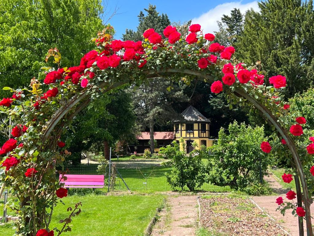 Le Parc du Séquoia & SPA proche Colmar et Riquewihr 6