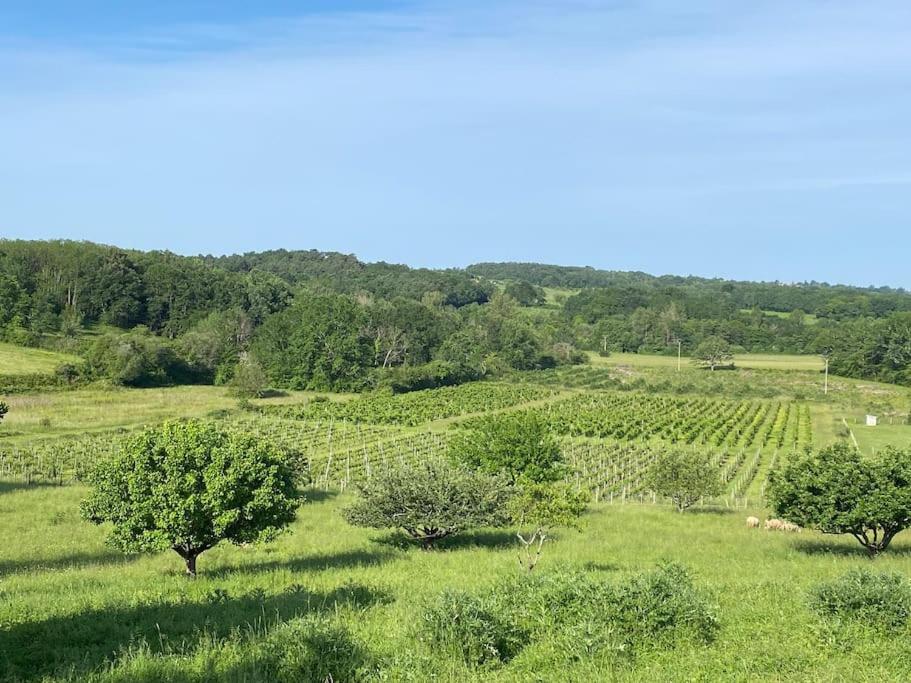 Chai Nous ! Maison rénovée sur un domaine viticole proche de Saint Emilion 8