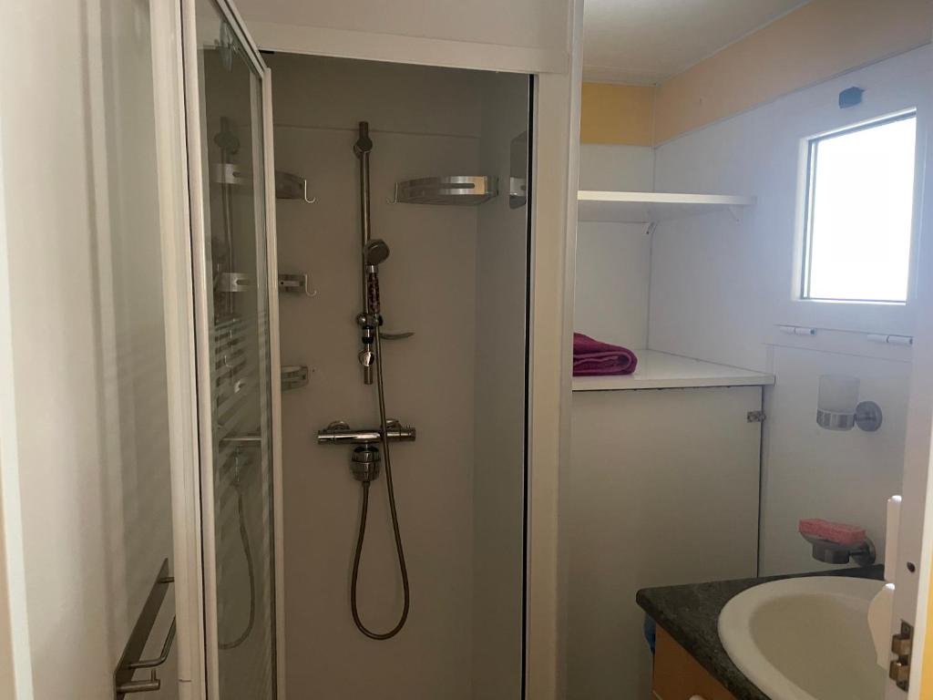 une salle de bain avec douche et lavabo dans l'établissement Mobilhome à Sainte Croix Du Verdon, à Sainte-Croix-de-Verdon