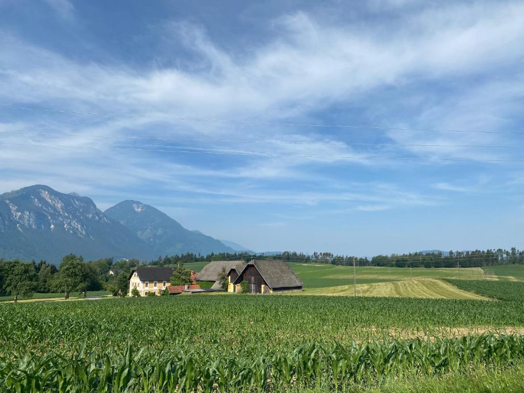 Temelhof - Landhaus mit Sauna und Kamin 8
