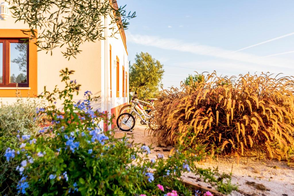 Quinta da Baleeira 7