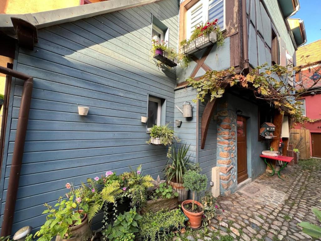GITE le 70 à TURCKHEIM, 10 min Colmar 6