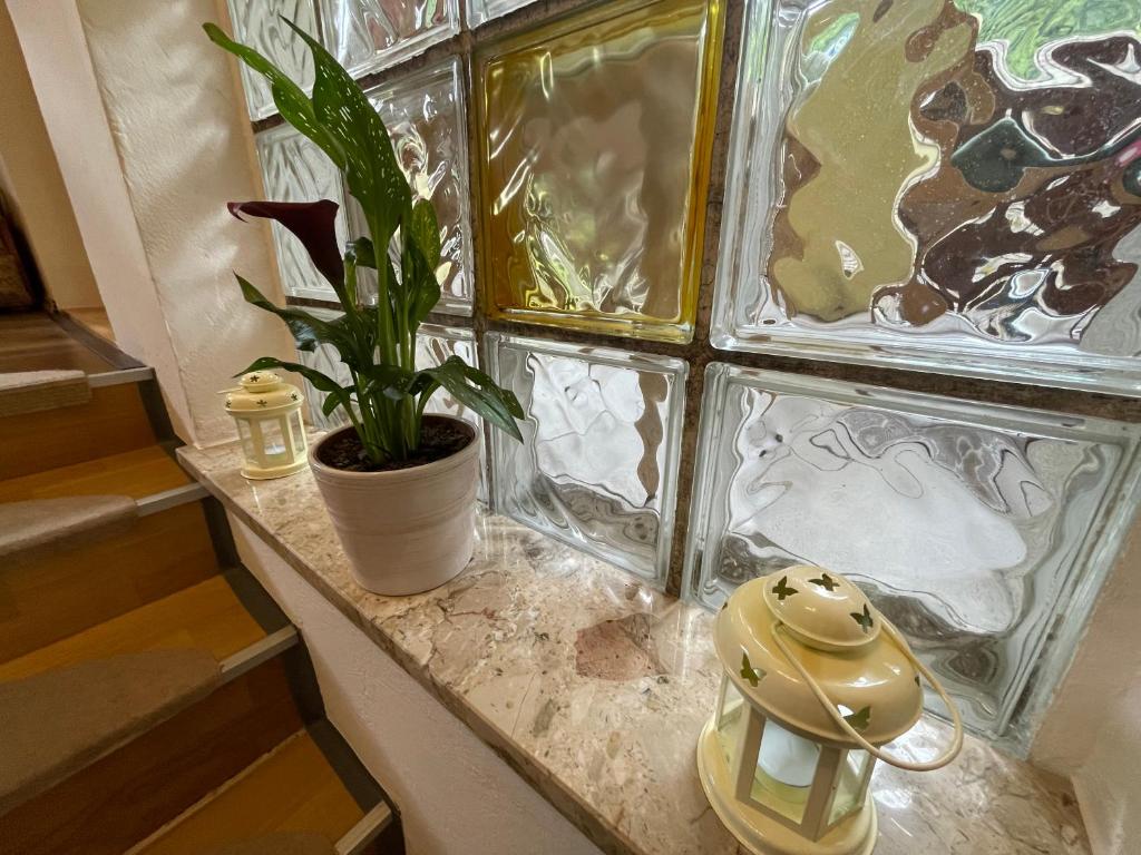 Ferienhaus Pogatschnig 8