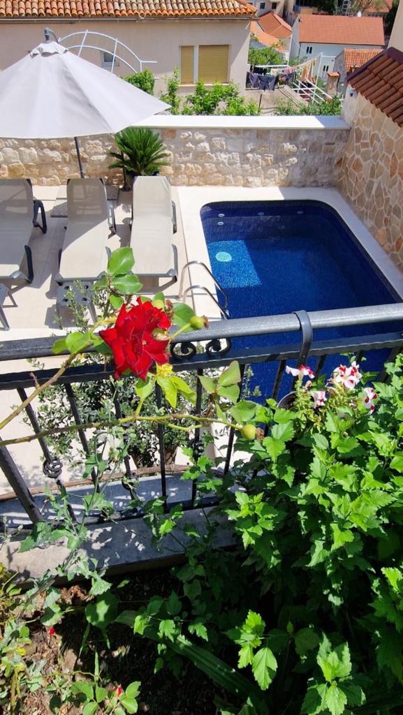 Apartments Ante 2