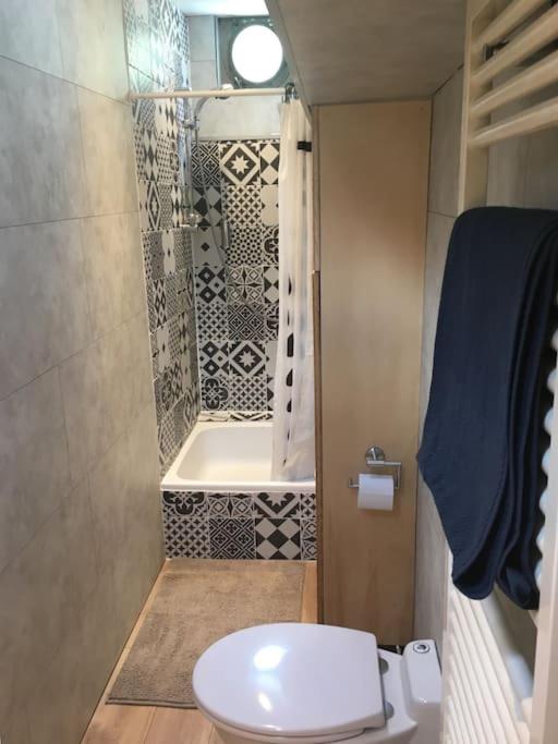 une petite salle de bain avec toilettes et douche dans l'établissement Captain's cabin: Cosy flat on a house boat, à Strasbourg