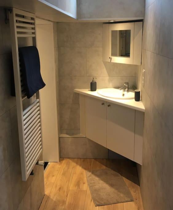 une salle de bain avec un lavabo et un miroir dans l'établissement Captain's cabin: Cosy flat on a house boat, à Strasbourg