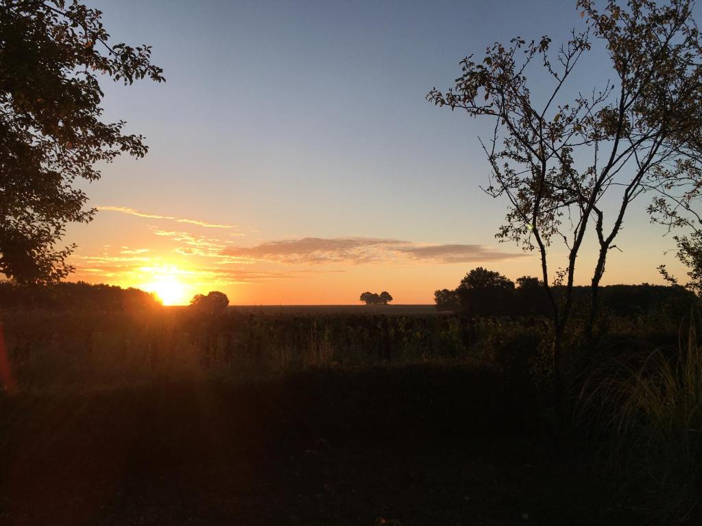 - un coucher de soleil dans un champ dans l'établissement Le Nid du Tui, à Faverolles