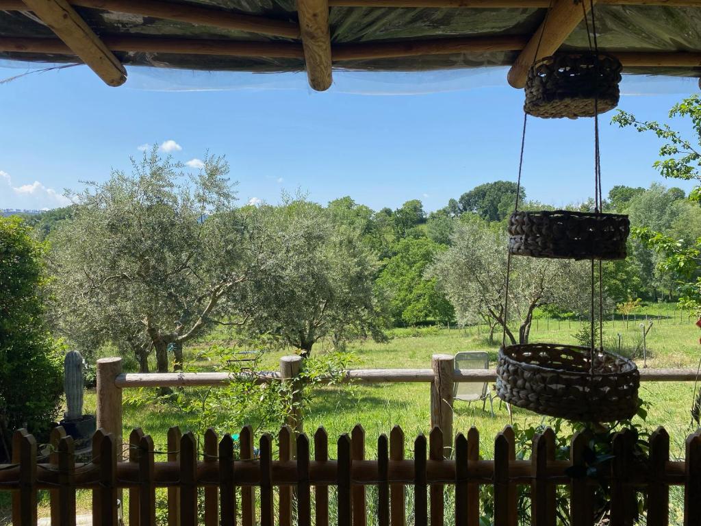 - une vue depuis la fenêtre d'un champ arboré dans l'établissement GITE PATCHAMAMA, à Pierrerue