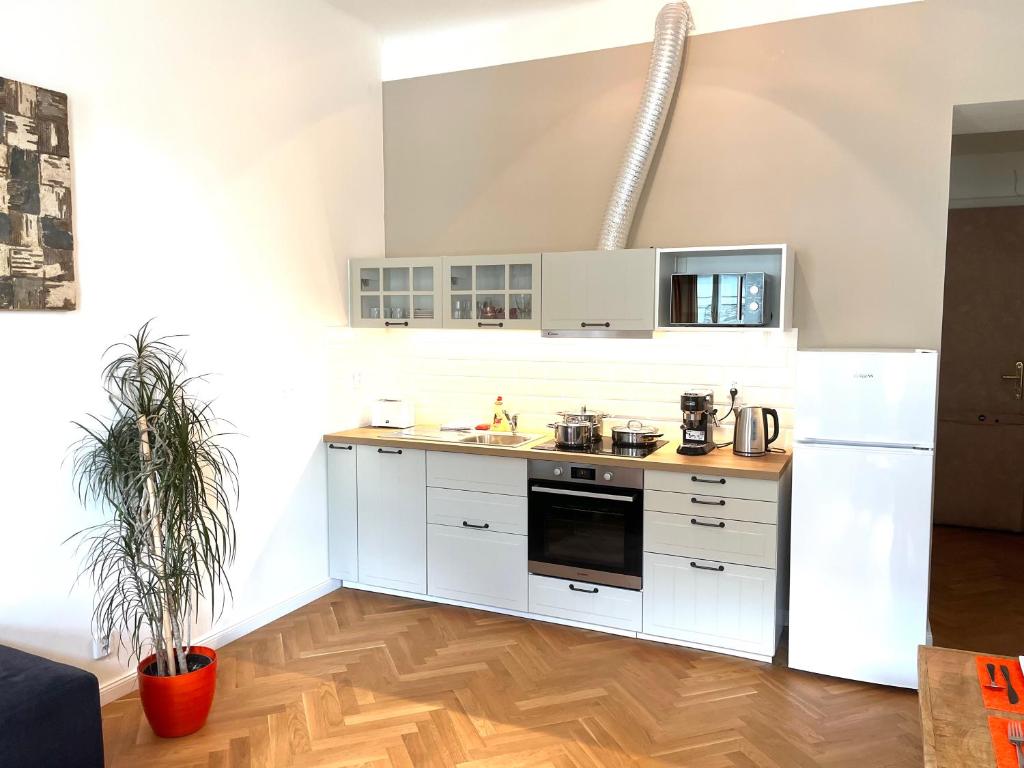 Amazing Apartment Zborovska 5
