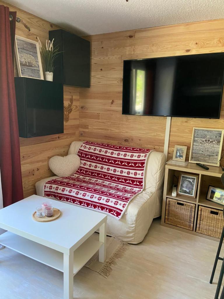 un salon avec un canapé et une télévision dans l'établissement Appartements au cœur de la station de ski "La Foux D'allos", à Allos