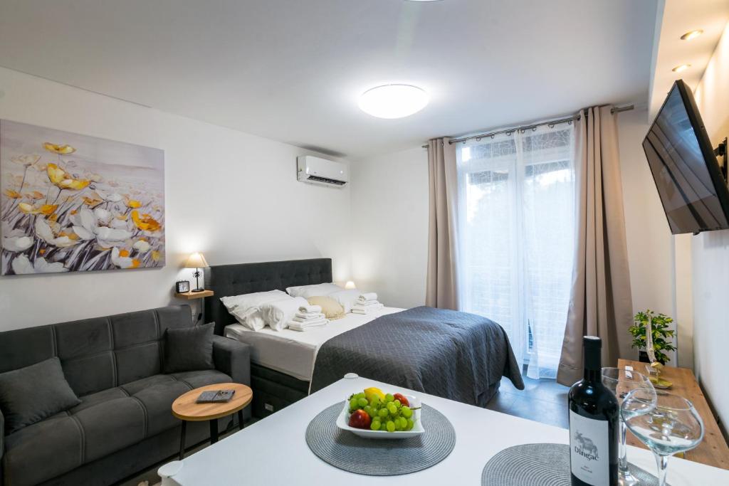 Studio Apartment Mot 2