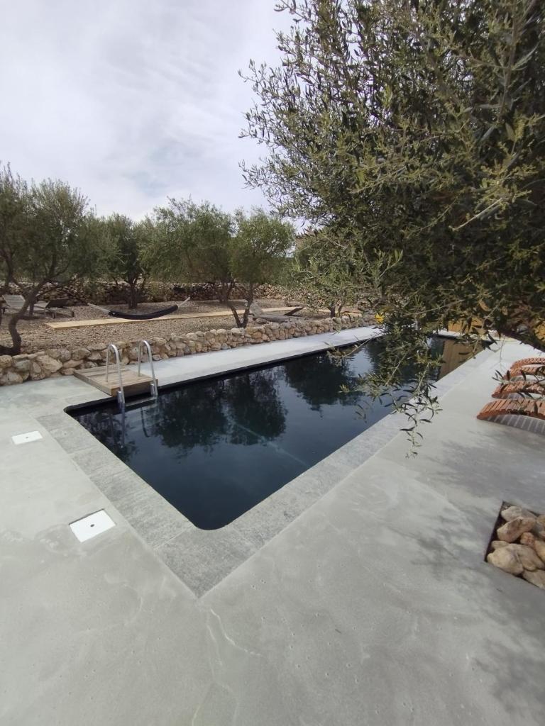 une piscine au milieu d'une cour dans l'établissement Mas des 4 Vents, à Fitou