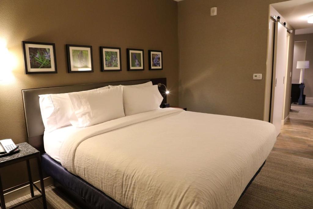 Hilton Garden Inn Austin Airport Image