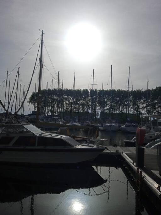 Photo de la galerie de l'établissement Voilier de charme en acajou., à Ouistreham