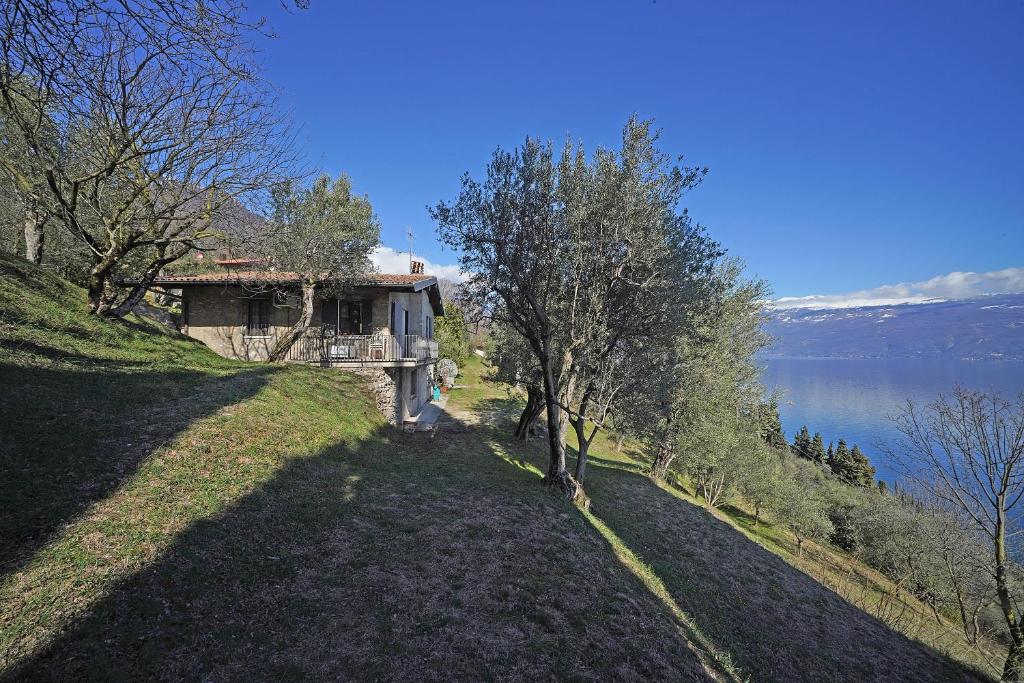 une maison sur une colline à côté d'une masse d'eau dans l'établissement Ville in uliveto vista lago - VILLA CASALIVA, à Pulciano