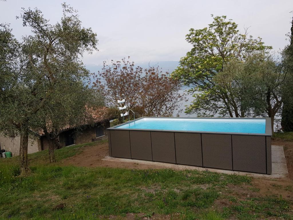 - une grande piscine dans une cour arborée dans l'établissement Ville in uliveto vista lago - VILLA CASALIVA, à Pulciano