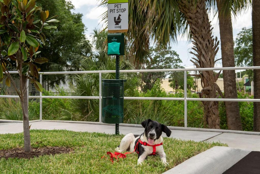 Home2 Suites By Hilton Tampa Westshore Airport, Fl Image