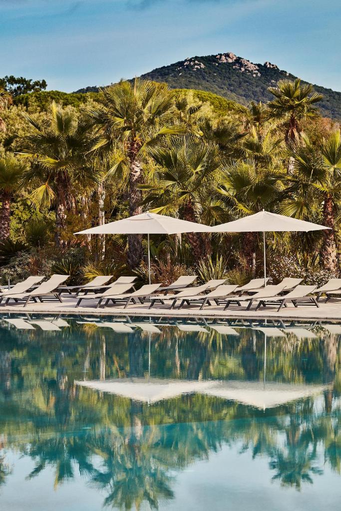 une piscine avec chaises, parasols et palmiers dans l'établissement Les Prairies de la Mer, à Grimaud