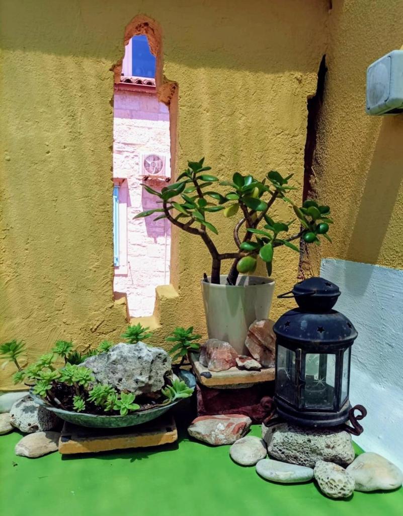 Beautiful Vintage House 4