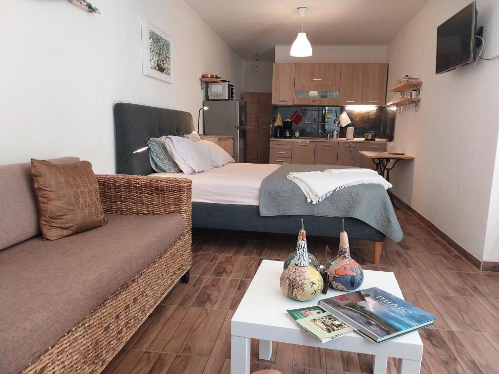 Panorama Studio Afetes 5