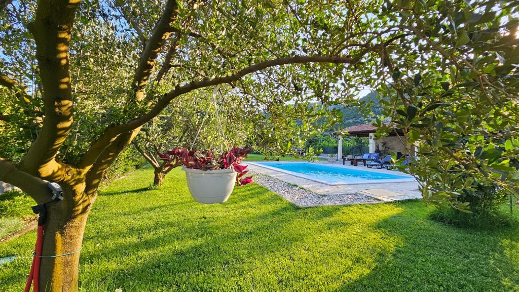 Holiday Home Natura with private pool 3