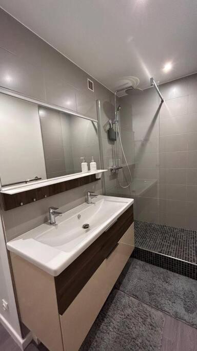une salle de bain avec un lavabo et un miroir dans l'établissement Appartement terrasse pied des pistes coeur station wifi, à Besse-et-Saint-Anastaise 23 autres photos