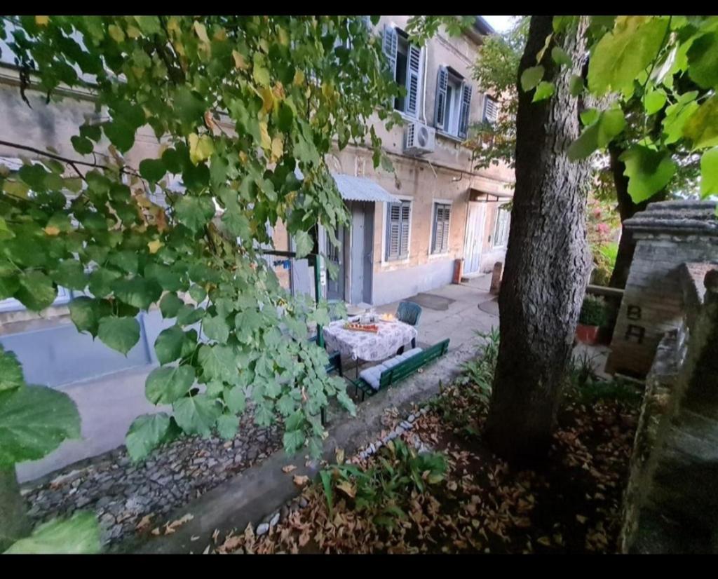 Apartment Vito 6