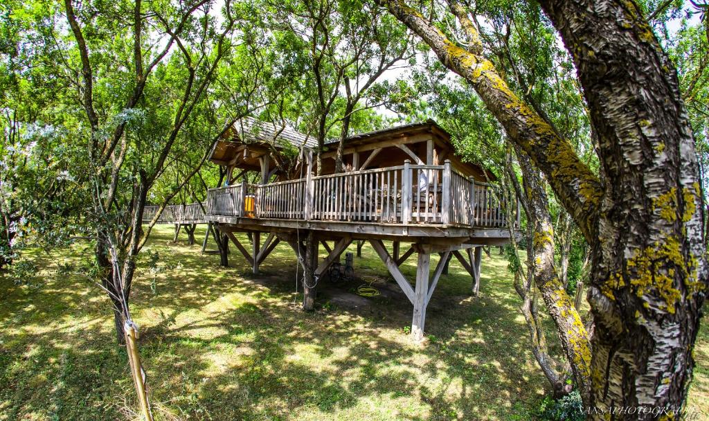 une cabane dans les arbres au milieu d'une forêt dans l'établissement Cabane d'Amour, à Béziers