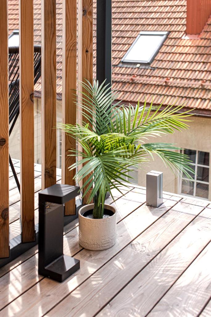 Paupys Central Apartments by Reside Baltic 7