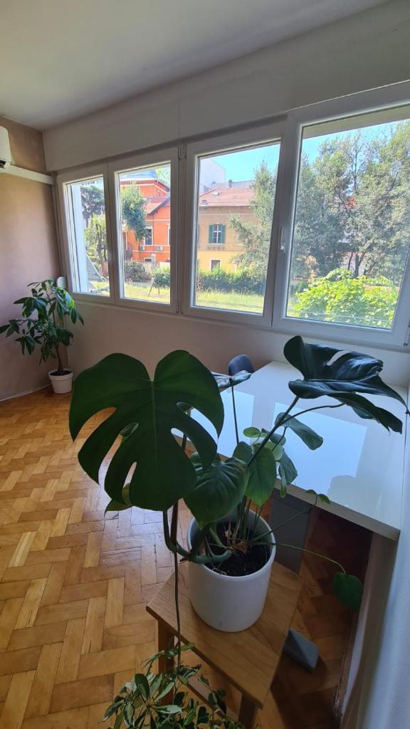 Apartment with Sauna in city centre 6