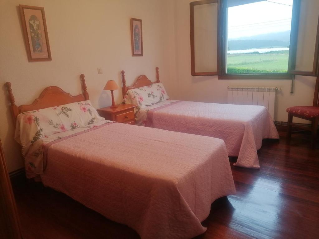 La PALMERA del Camino 2