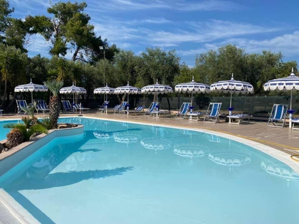 une grande piscine avec des chaises et des parasols bleus dans l'établissement Appartamenti Vacanze Minervino, à Vieste