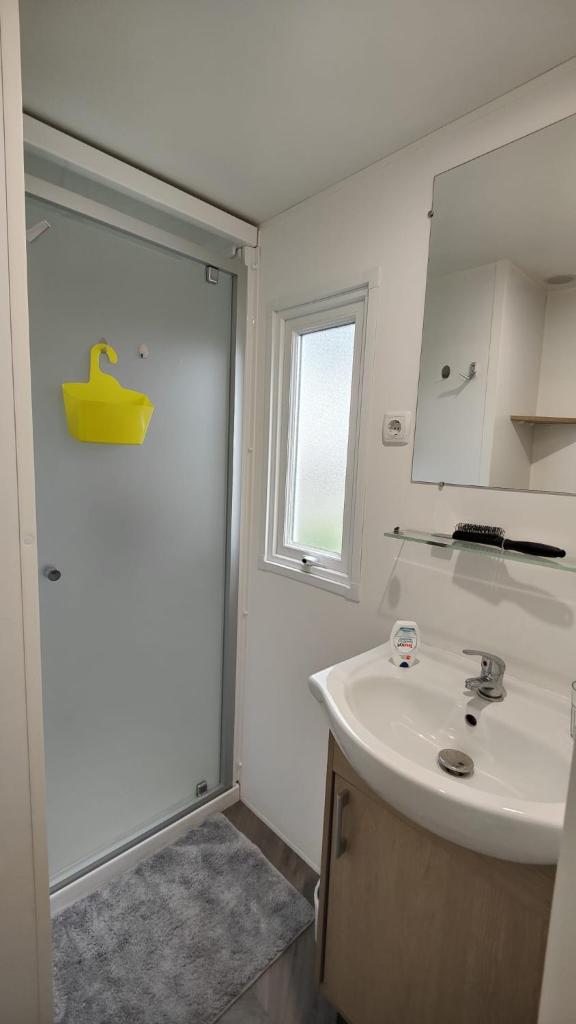 une salle de bain avec un lavabo, un miroir et une douche dans l'établissement les Dunes de Contis, à Saint-Julien-en-Born