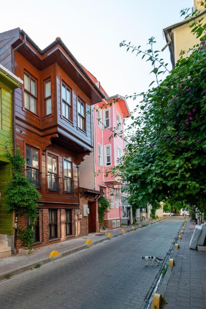 Brown Mansion Oldcity 8