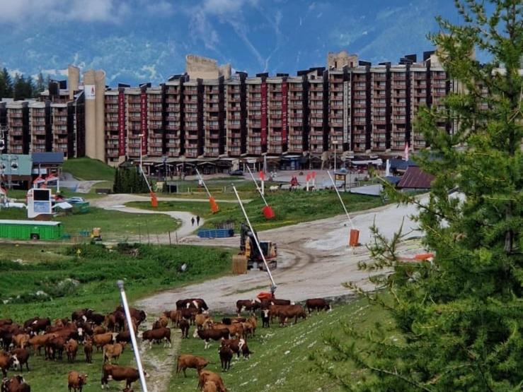 Photo de la galerie de l'établissement Belle Plagne appartement pour 5 personnes, à La Plagne Tarentaise