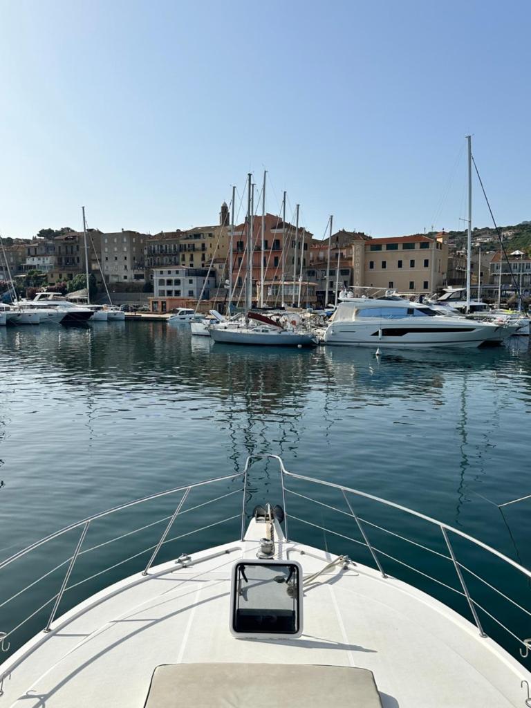 un bateau est amarré dans un port avec d'autres bateaux dans l'établissement Bateau Vedette 14 mètres, à Propriano